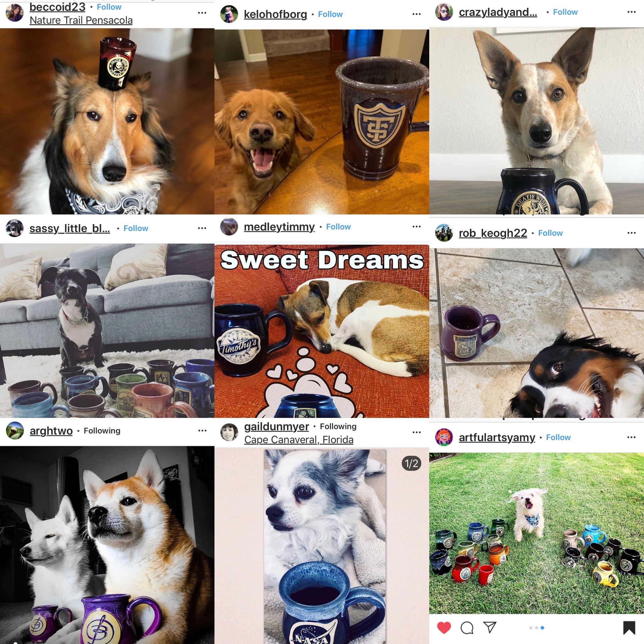 dogs and mugs
