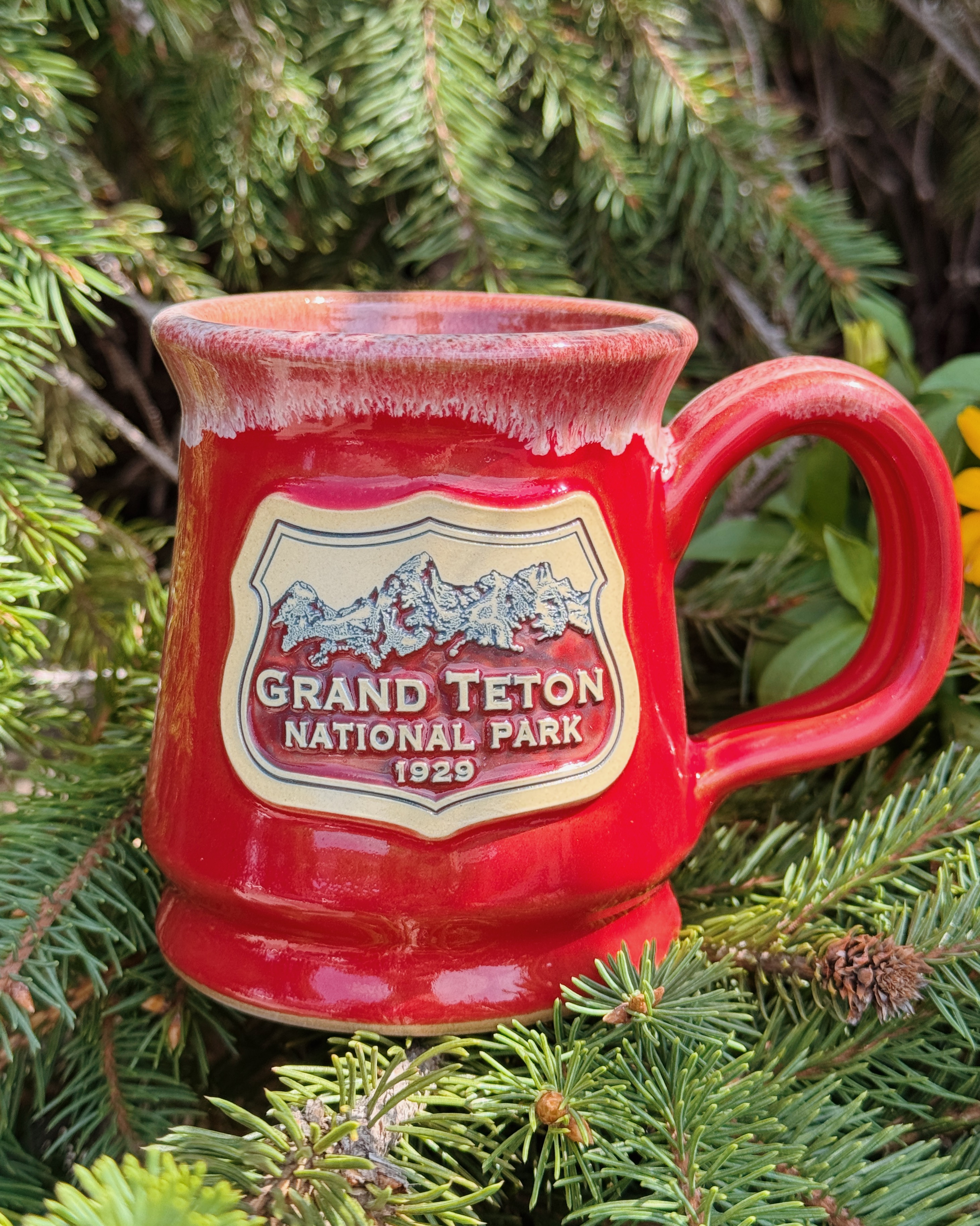 grand teton mug